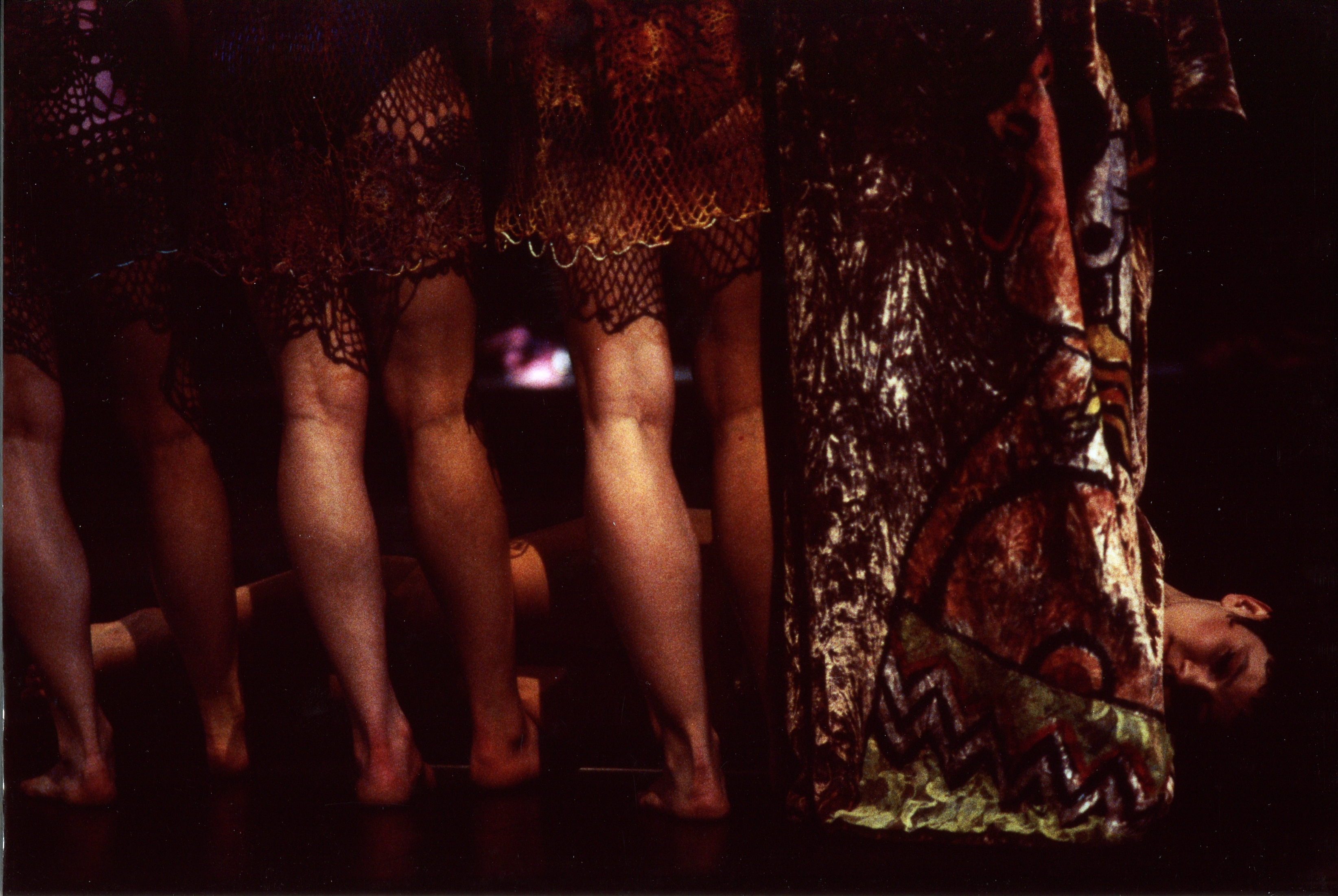 Peau de squale, 1993 &copy; Catherine Duteriez