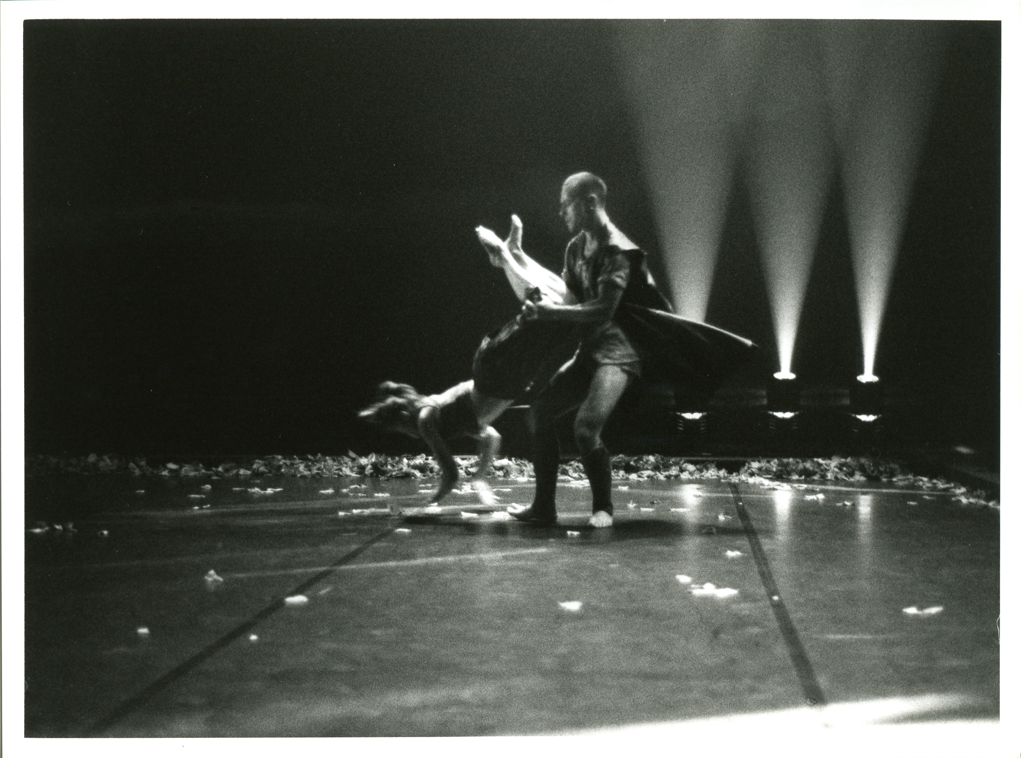 Les Honneurs du Pied, 1991 &copy; Catherine Duteriez